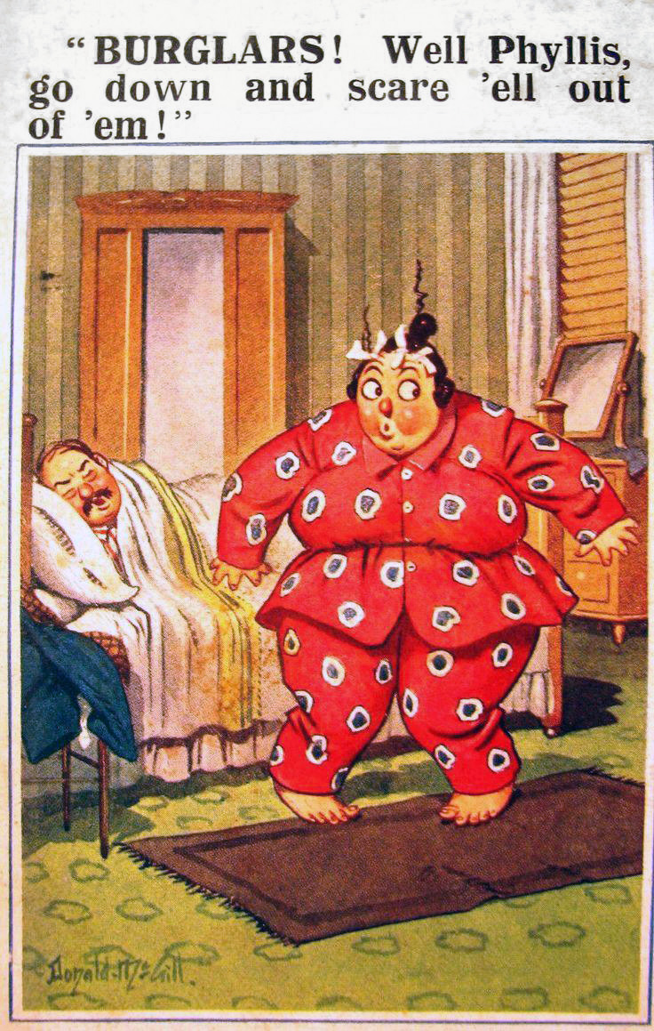 donaldmcgill-postcard-burglars