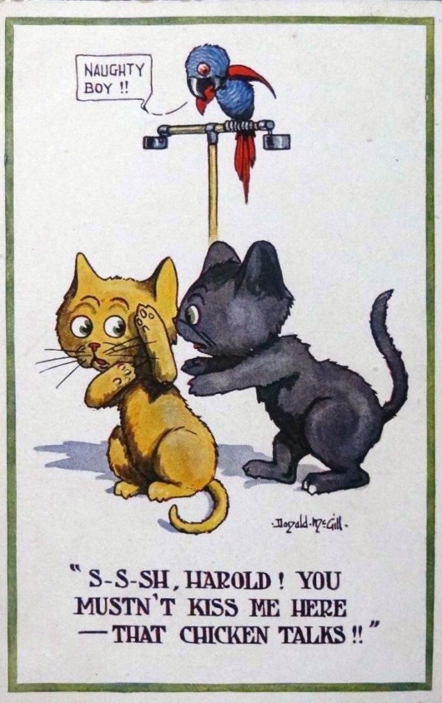 donaldmcgill-postcard-kitties