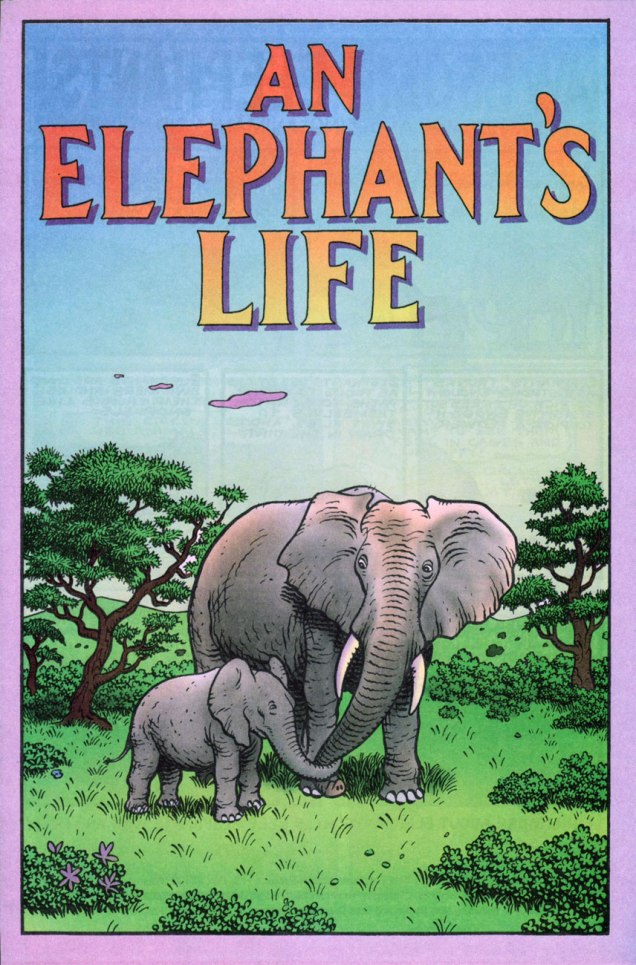 WoodringElephantLifeA