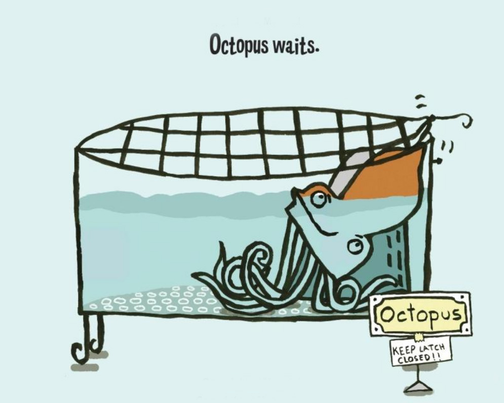 OctopusEscapes--Nathaniel-Lachenmeyer2